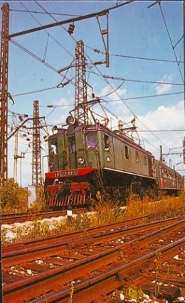 zd1995mus.jpg